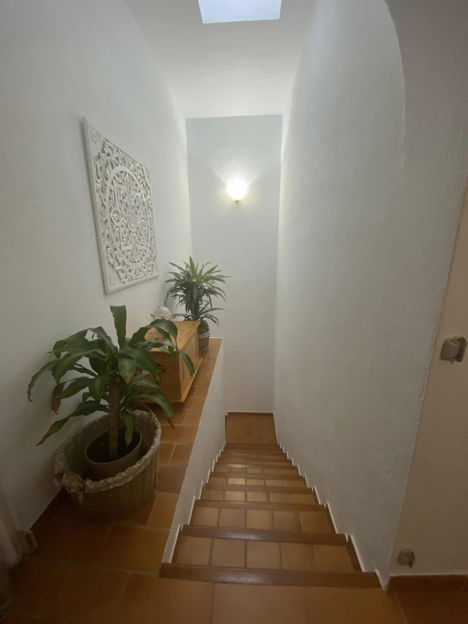 307674658_1545792455839339_5877862727175050239_n