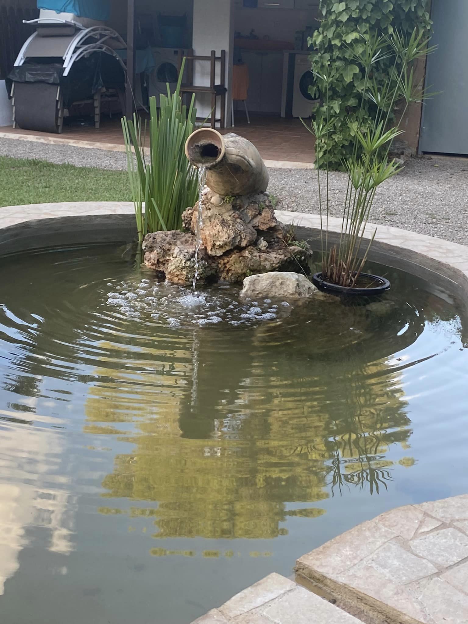 307691928_1545792059172712_9091392376922560369_n